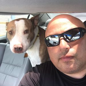 Meet your Posher, Adam